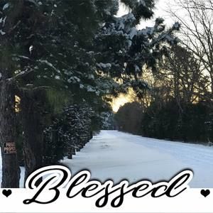 Meet your Posher, Ella